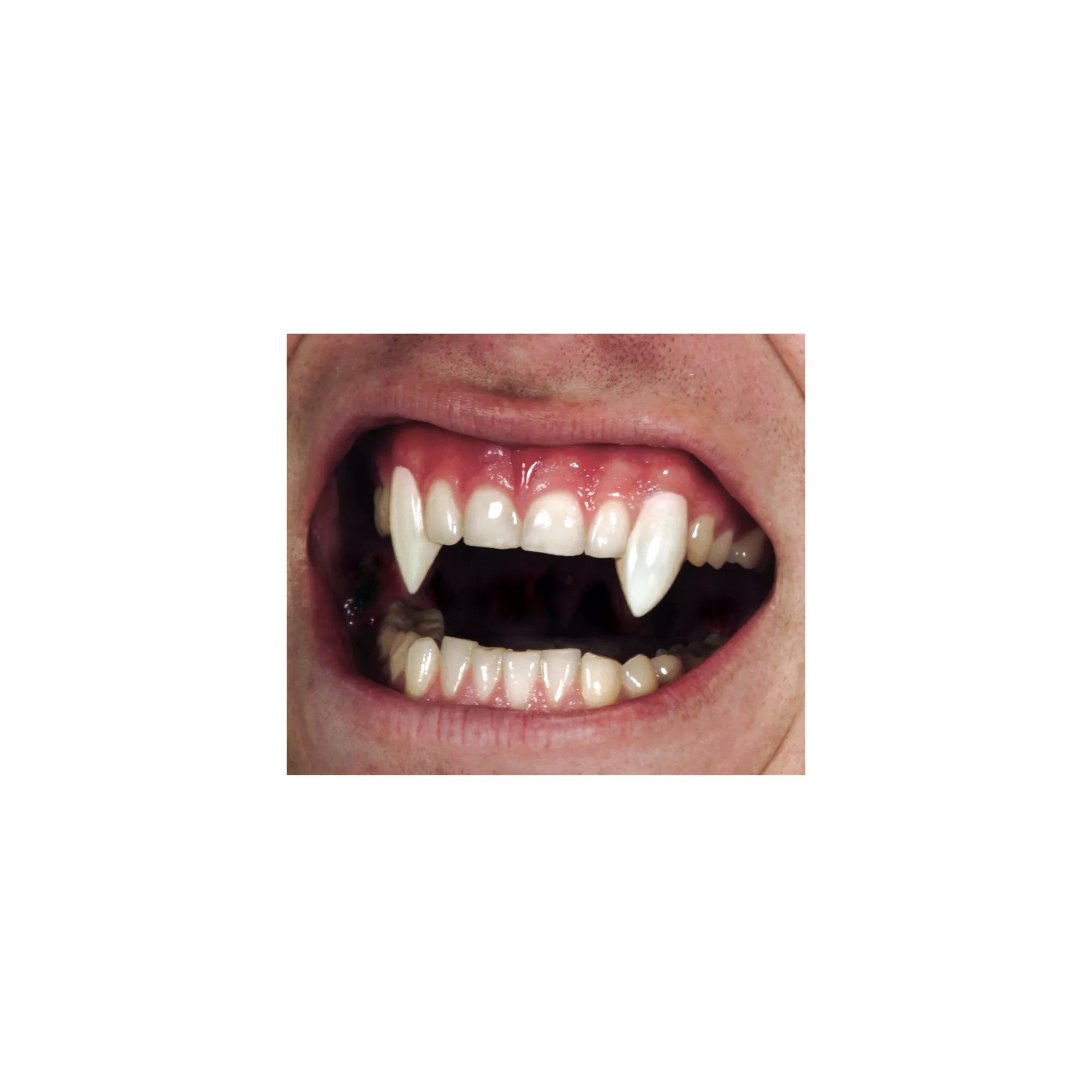 Vampire Fangs