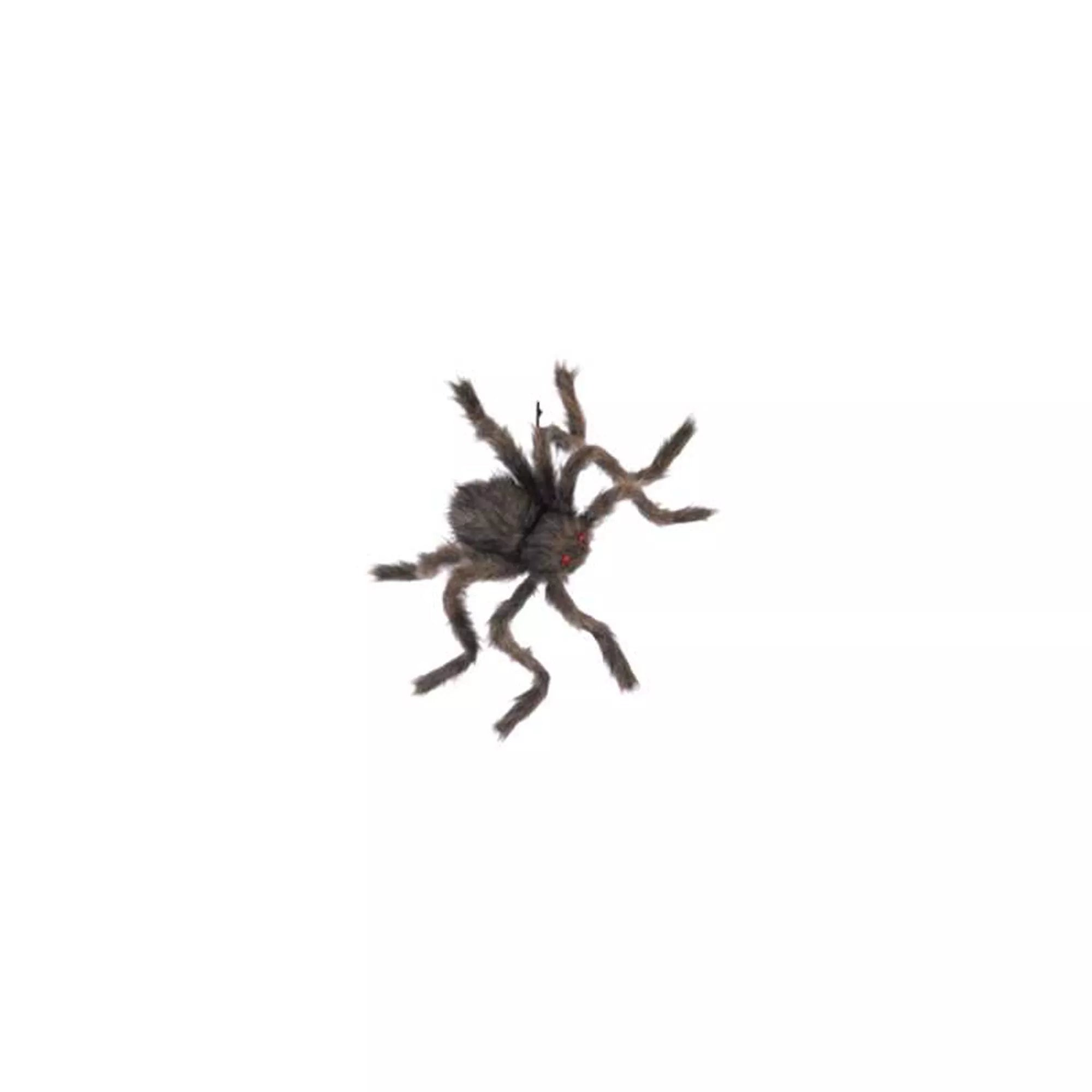 20 Inch Hairy Spider