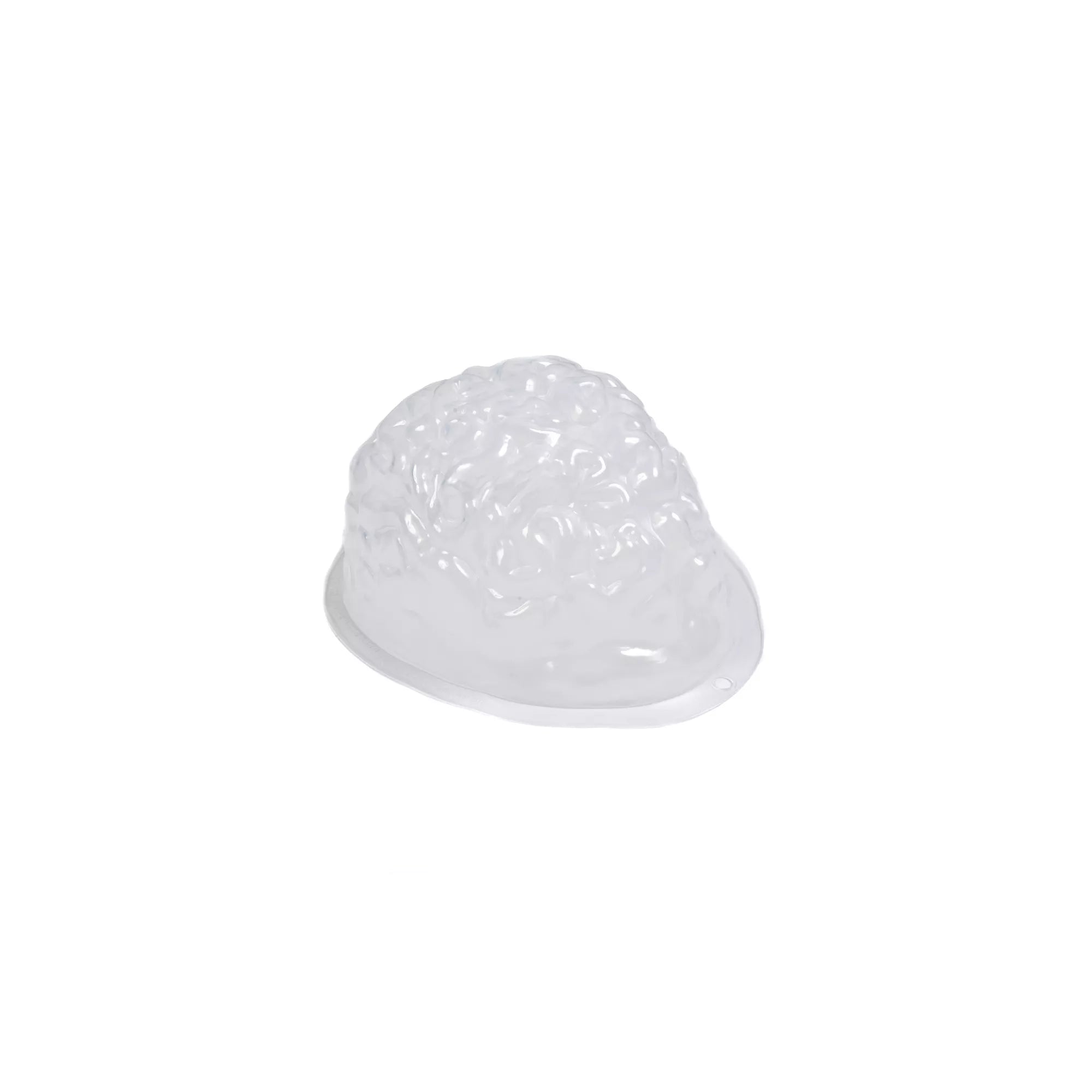 Gelatin Brain Mold