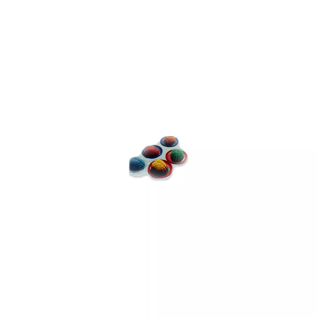 Gelatin Brain Mold