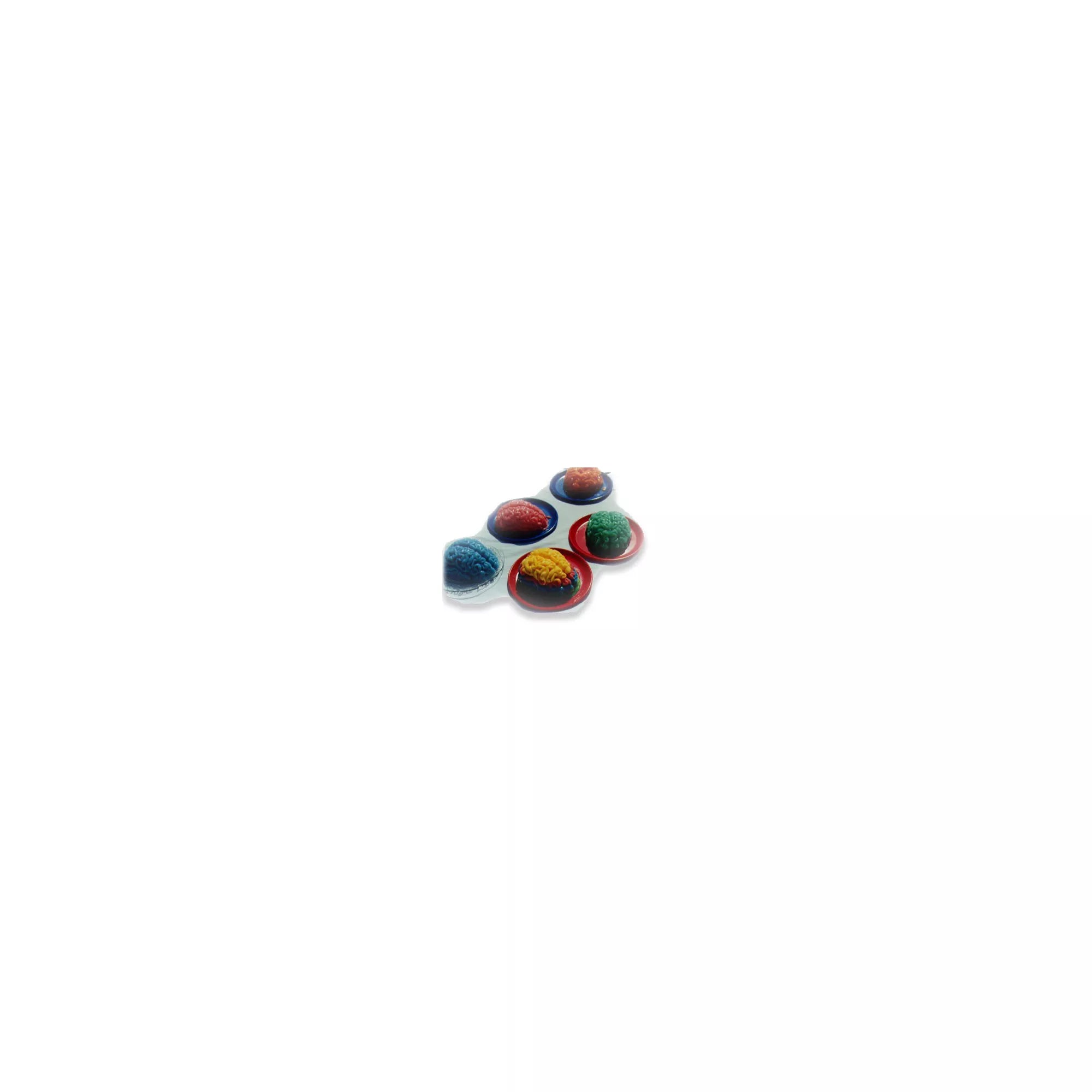 Gelatin Brain Mold