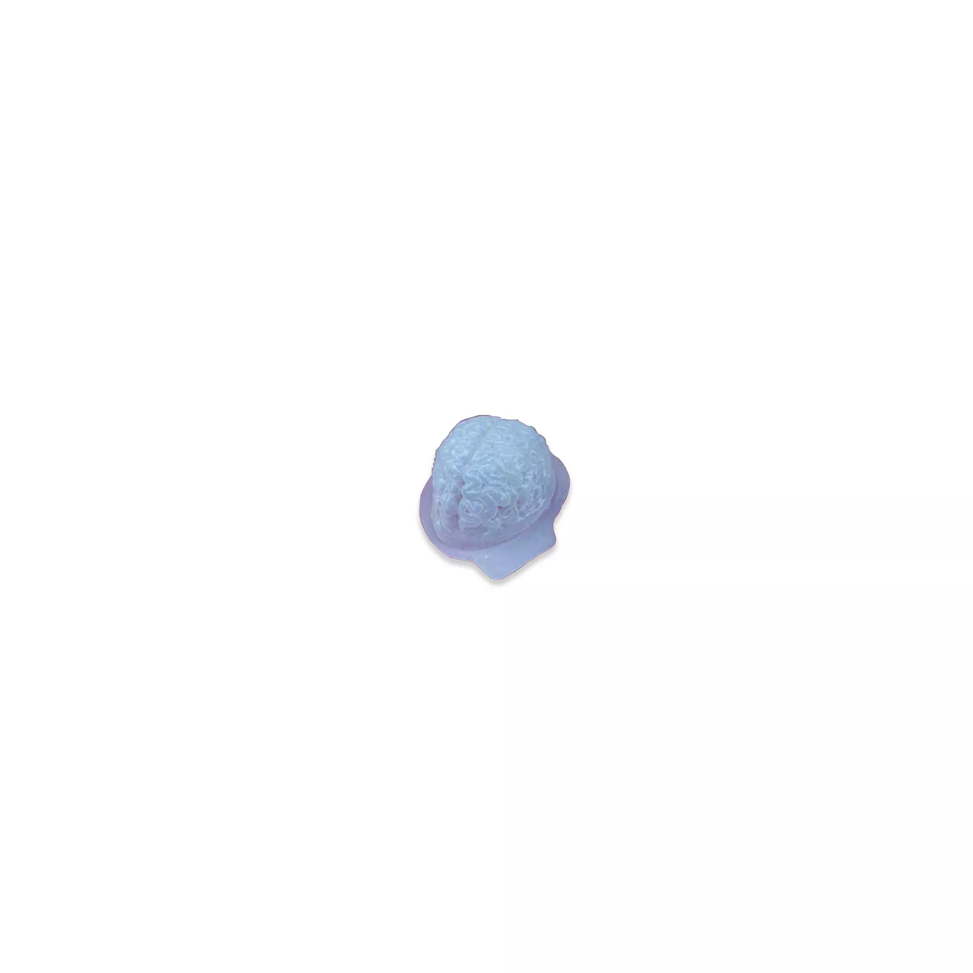 Gelatin Brain Mold