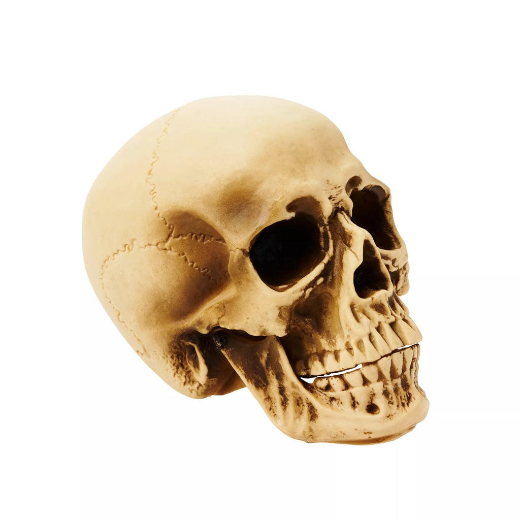 Vinyl Skull