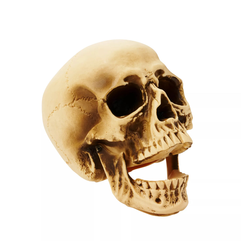 Vinyl Skull