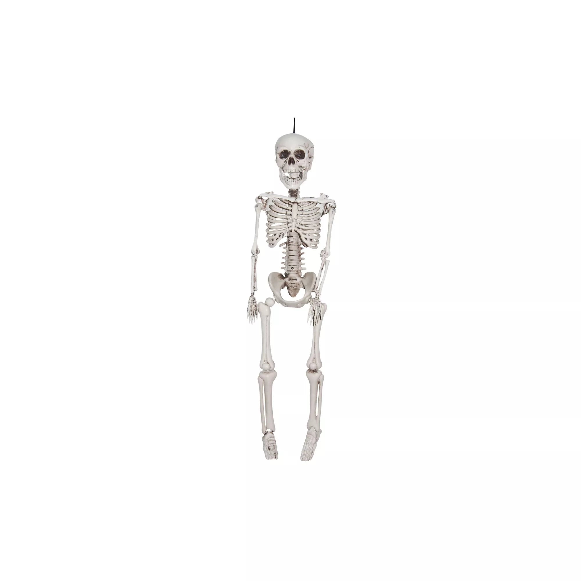 20 In Plastic Skeleton