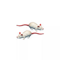Squooshey Mouse 8-Pack
