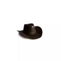 Black Cowboy Hat Deluxe
