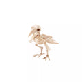 Skeleton Crow