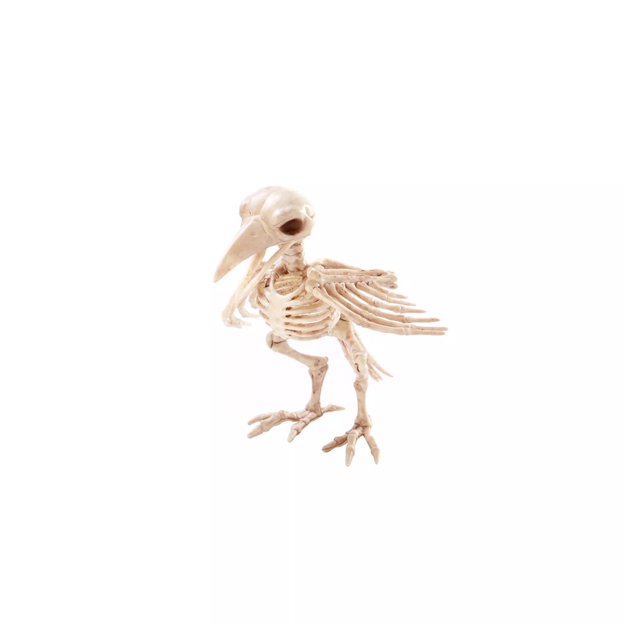 Skeleton Crow