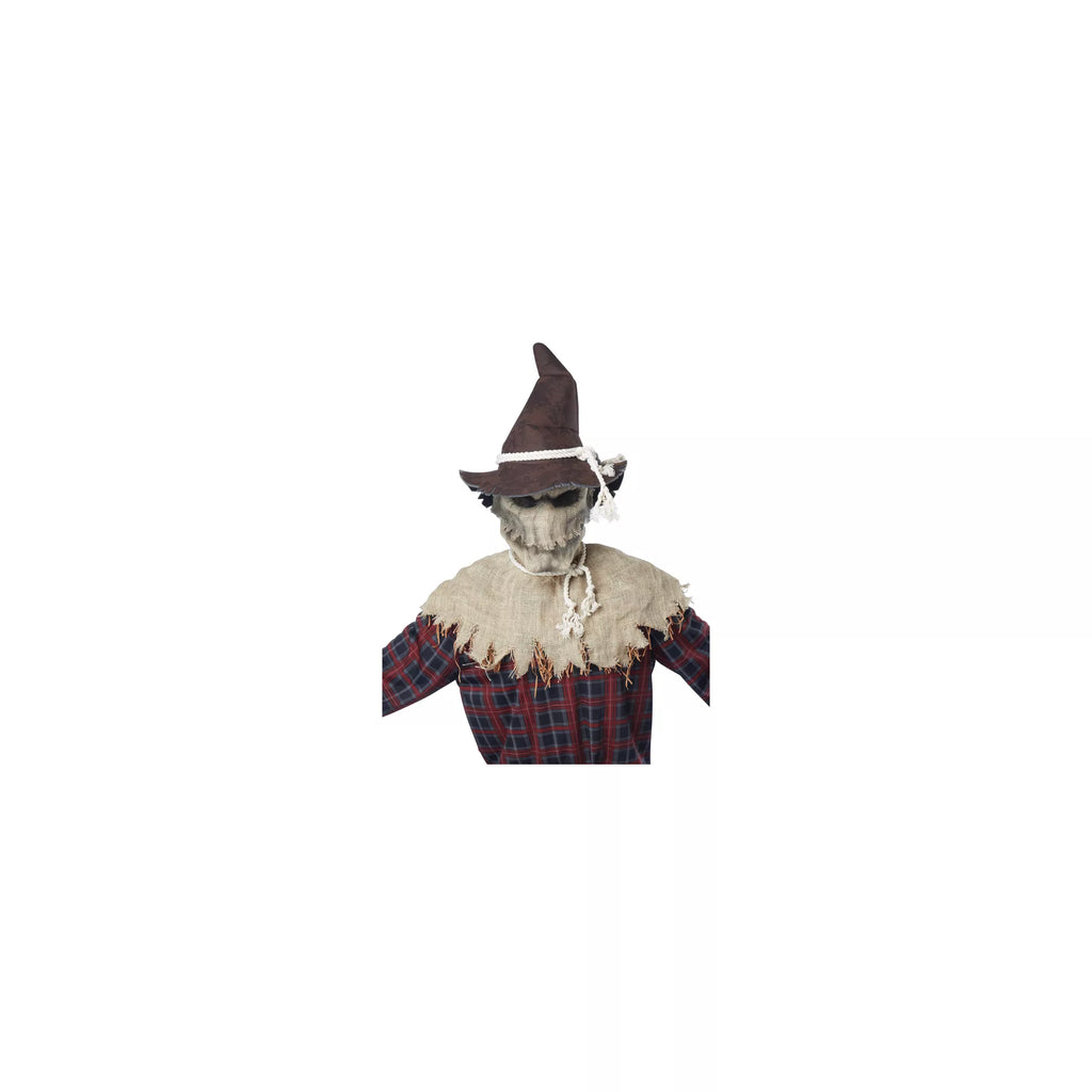 Animotion Scarecrow Full Mask
