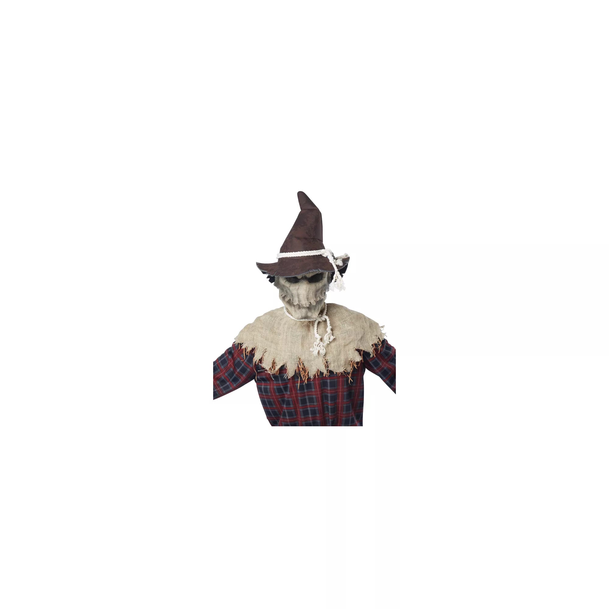 Animotion Scarecrow Full Mask