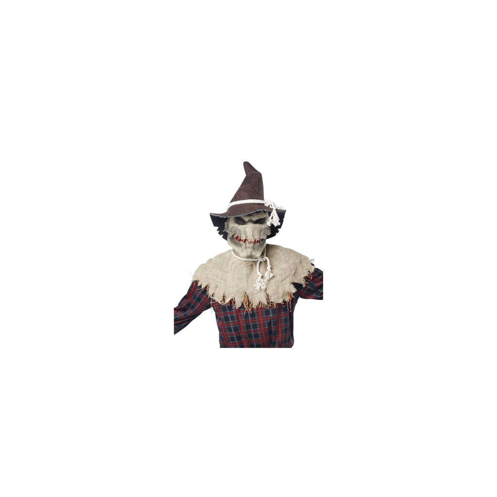 Animotion Scarecrow Full Mask