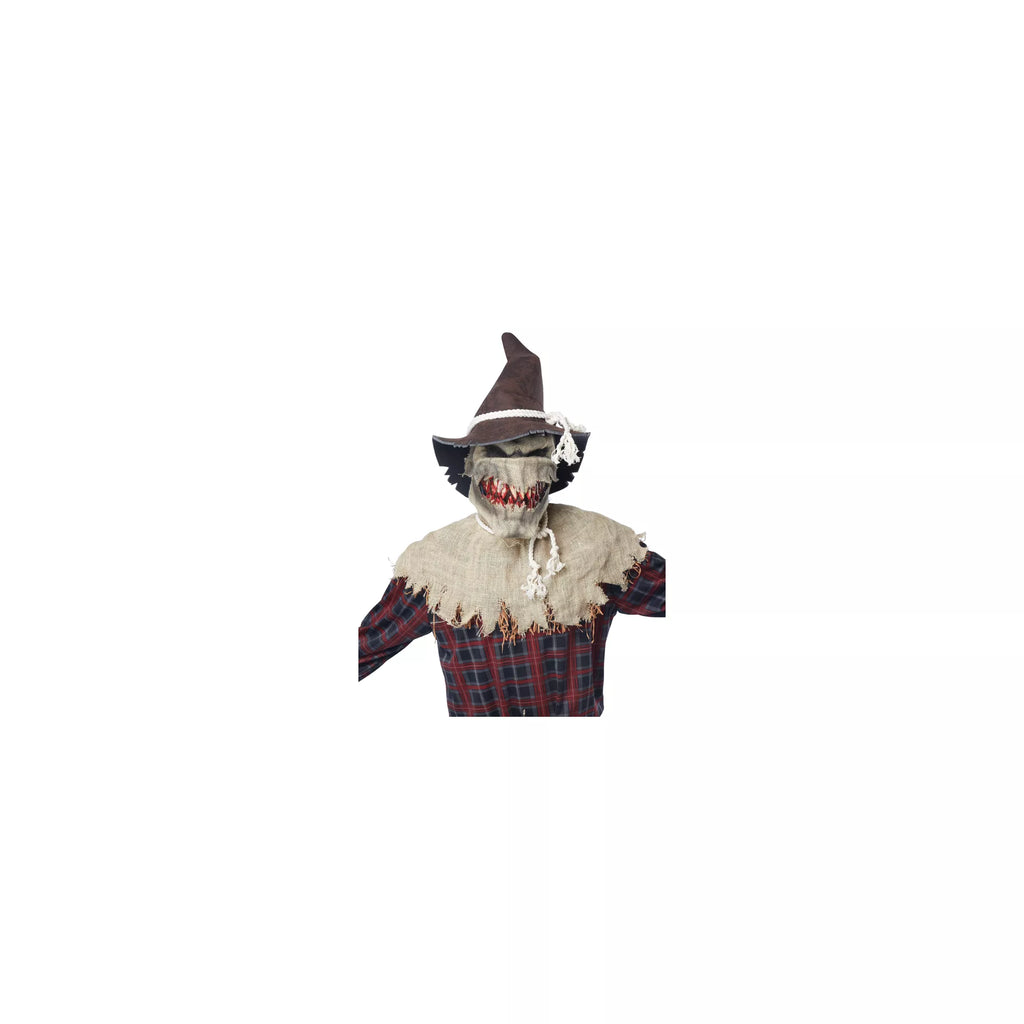 Animotion Scarecrow Full Mask