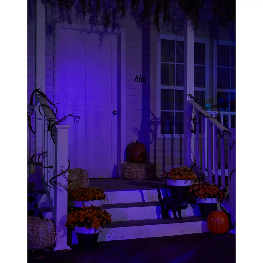 Black Light Strobe Spotlight