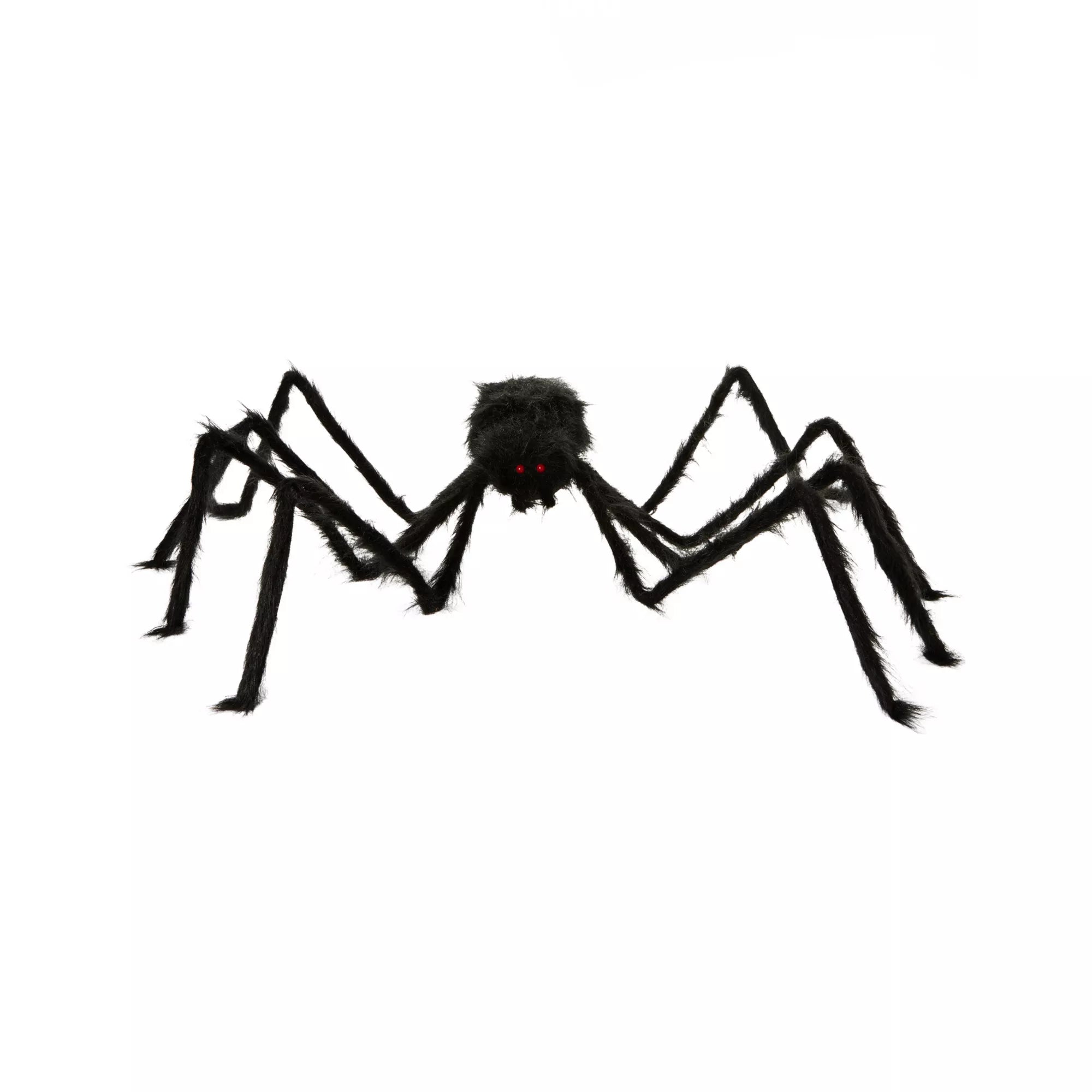 5 Ft Black Spider