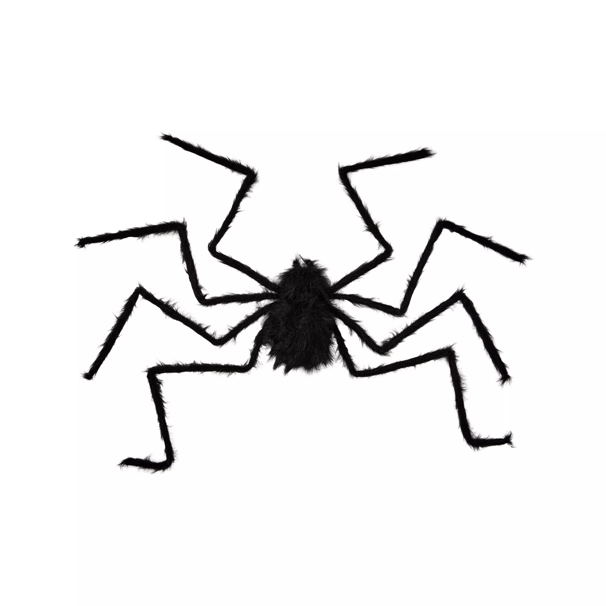 5 Ft Black Spider