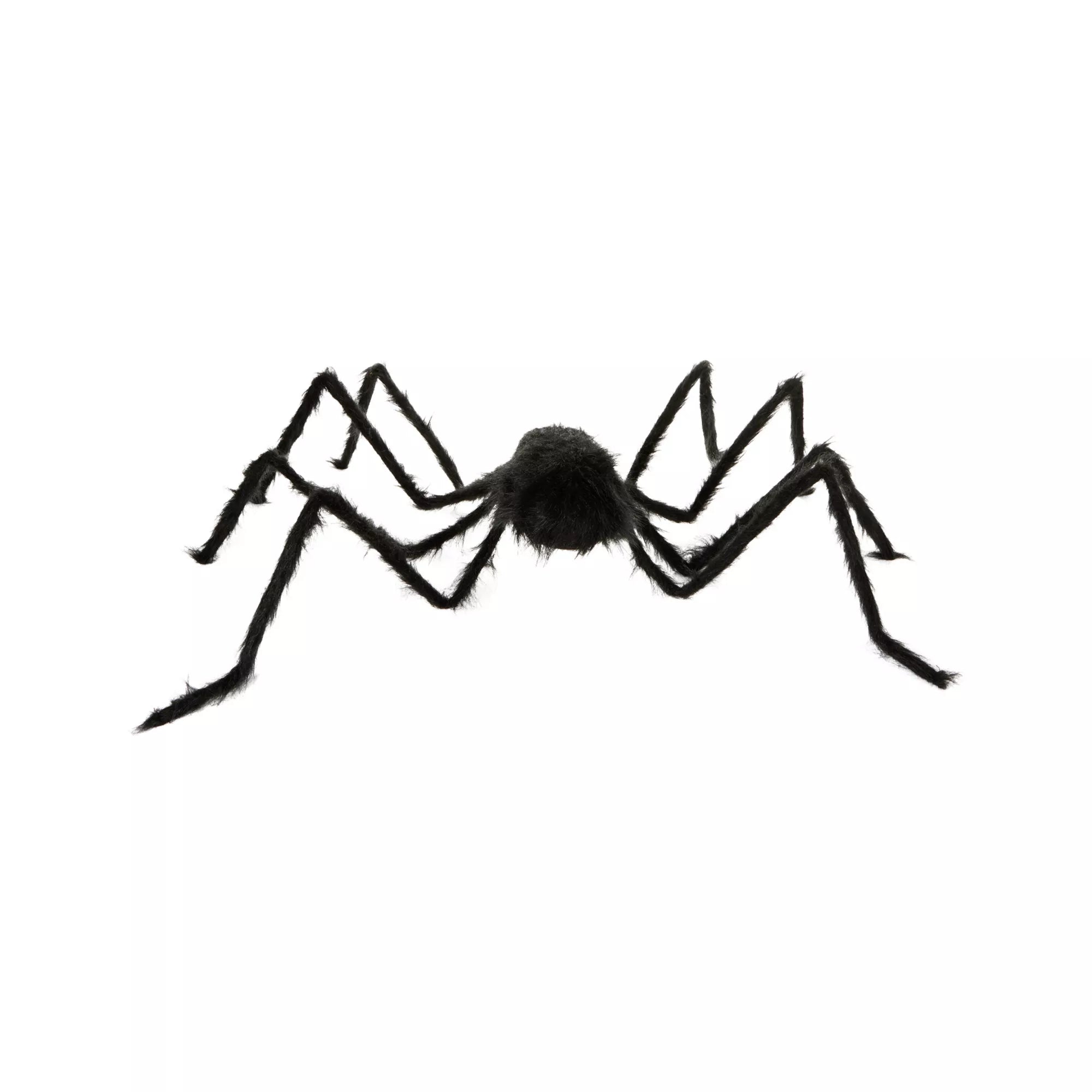 5 Ft Black Spider