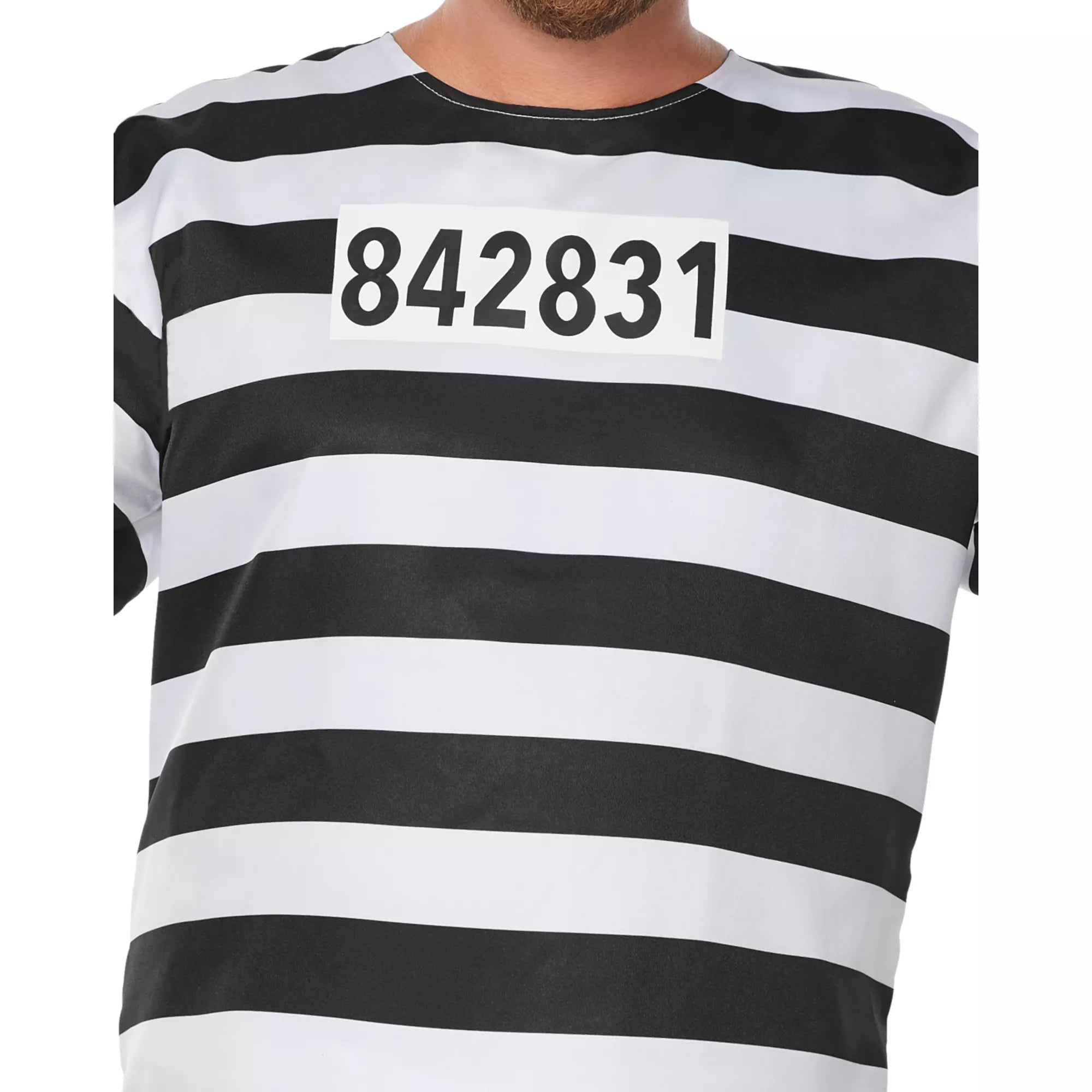 Adult Jailbird Costume
