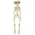 20 Inch Two-Headed Skeleton