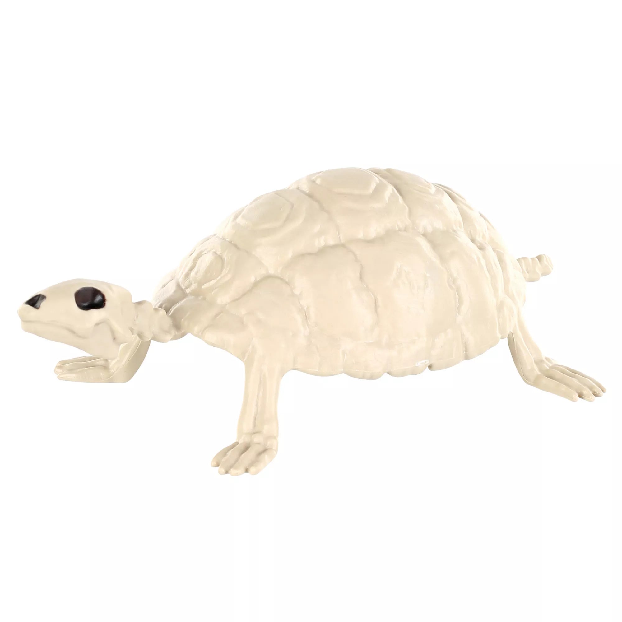 Skeleton Turtle - Decorations