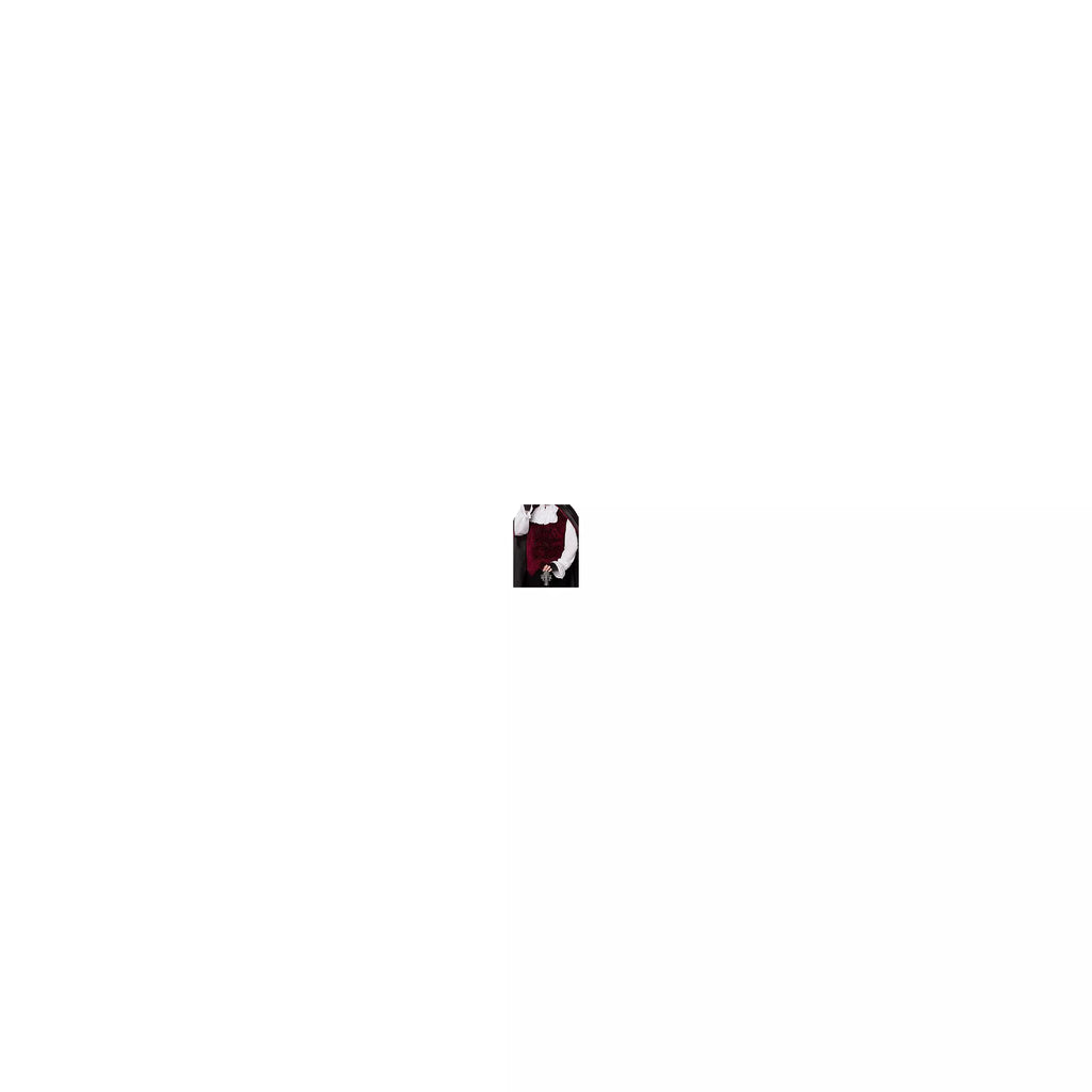 Adult Vampire Costume