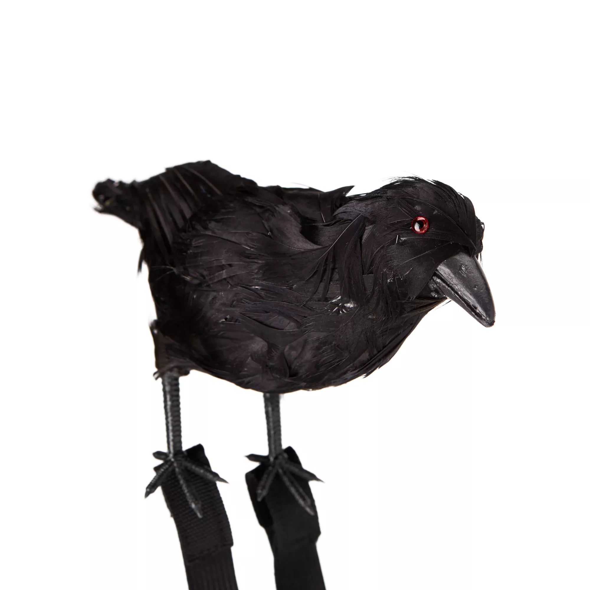 Black Crow Shoulder Prop