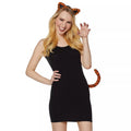 Tiger Costume Kit