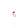 Rose Gold Fairy Wings