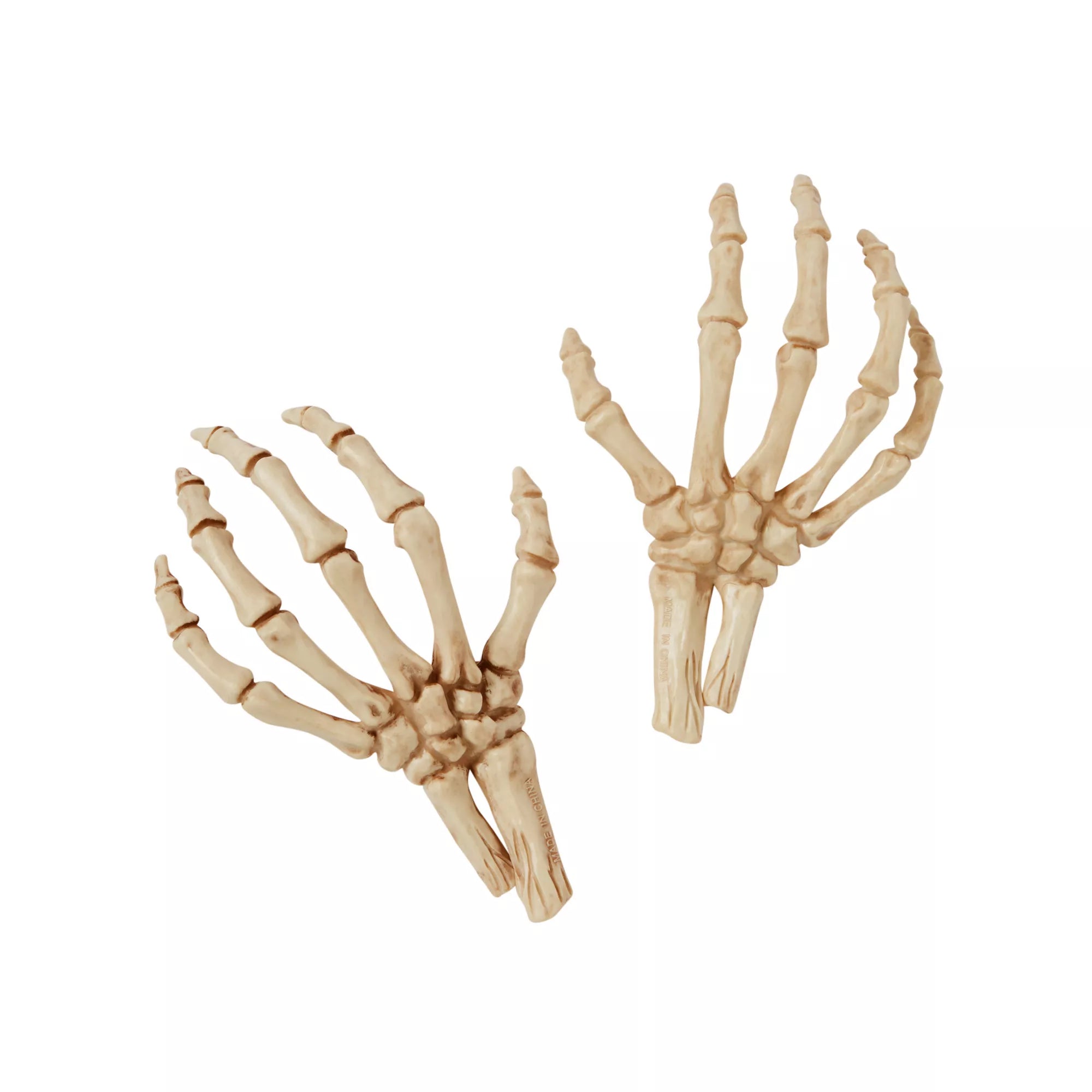 Skeleton Hands