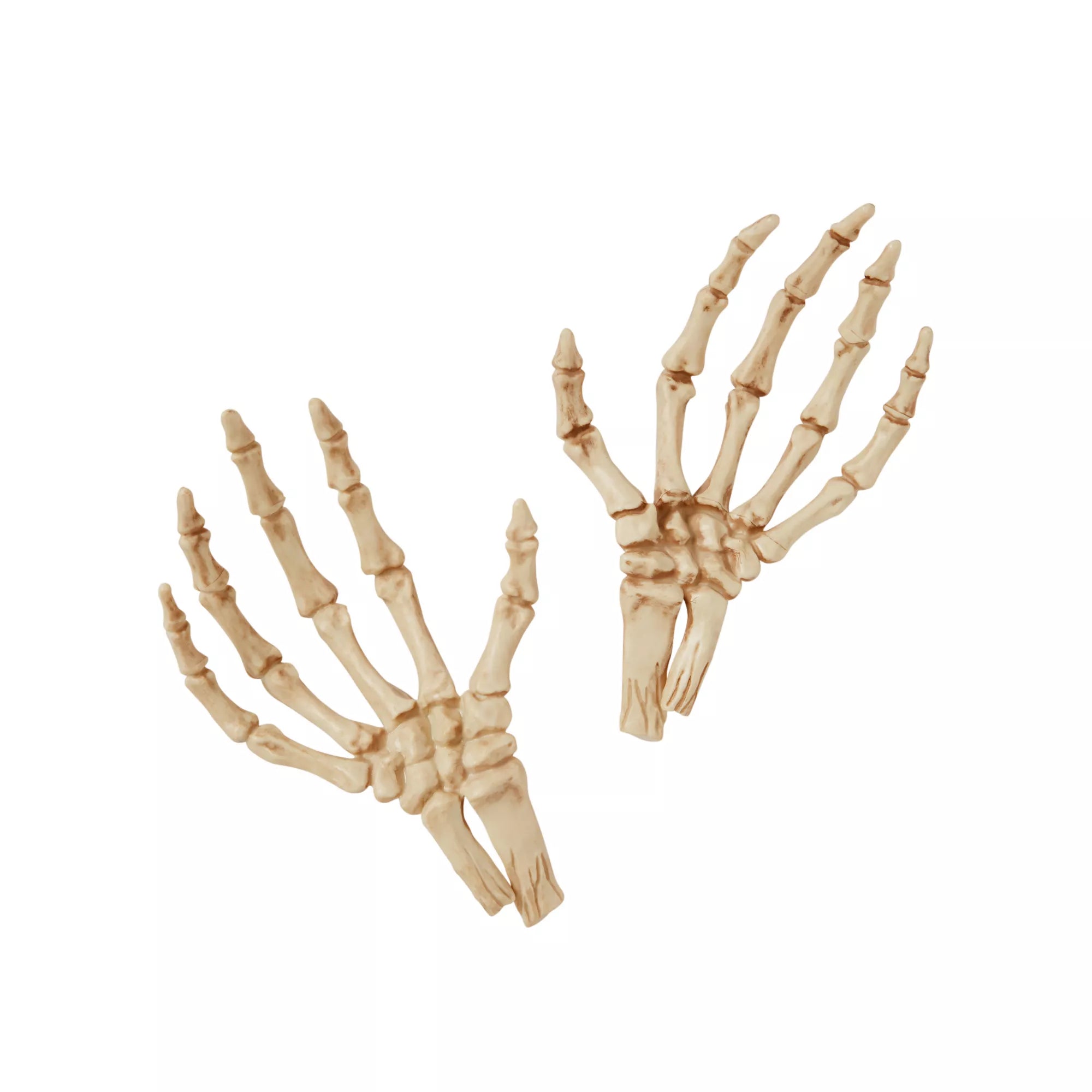Skeleton Hands