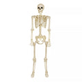 5 Ft Black Light Pose 'N' Stay Skeleton