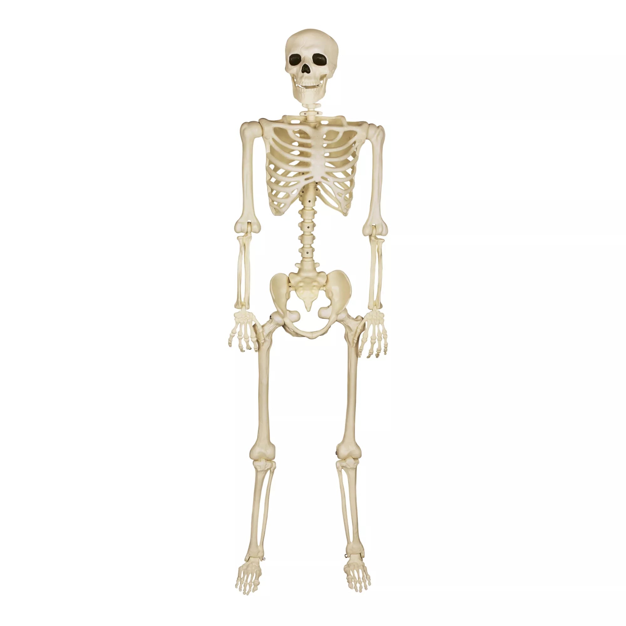 5 Ft Black Light Pose 'N' Stay Skeleton