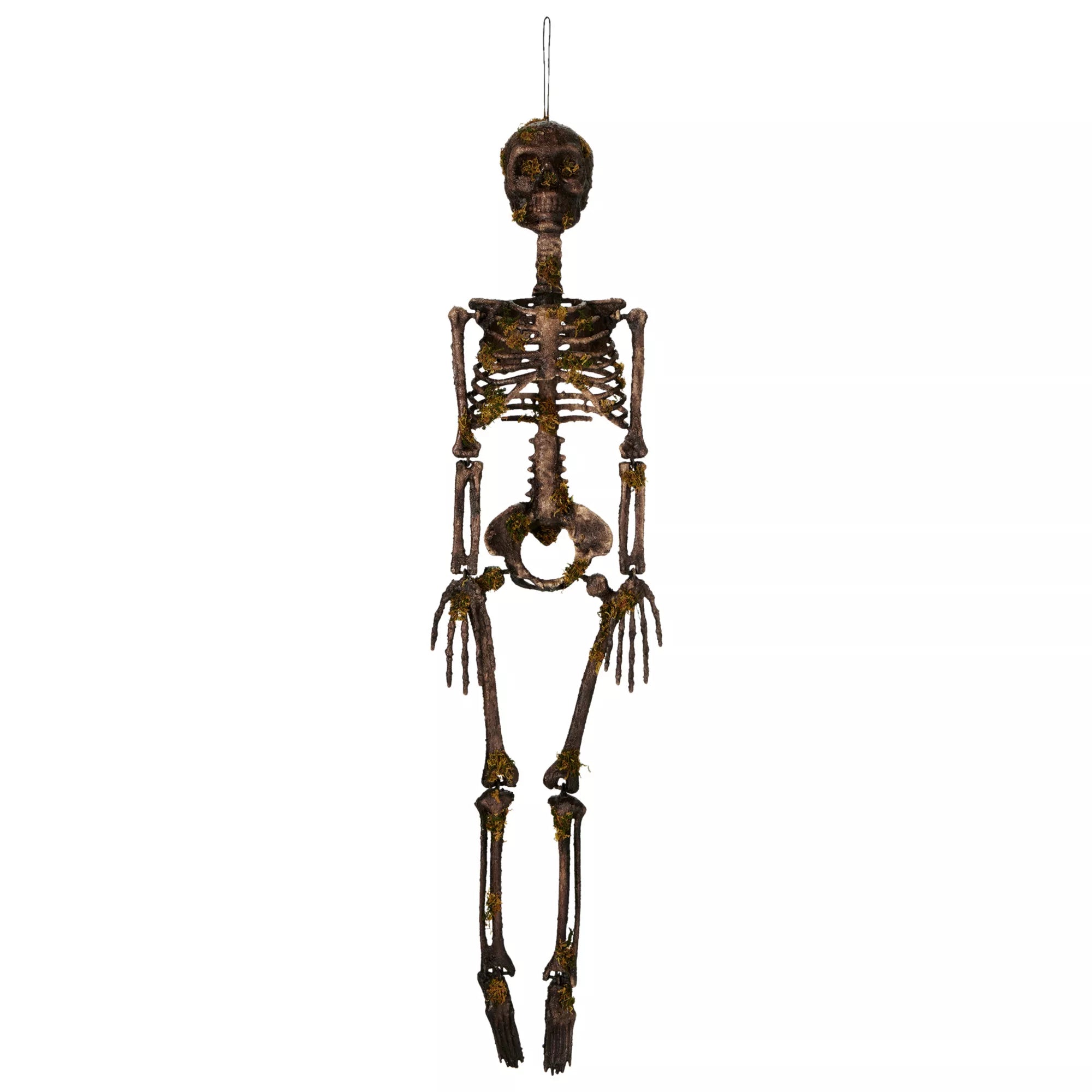 Moss Skeleton