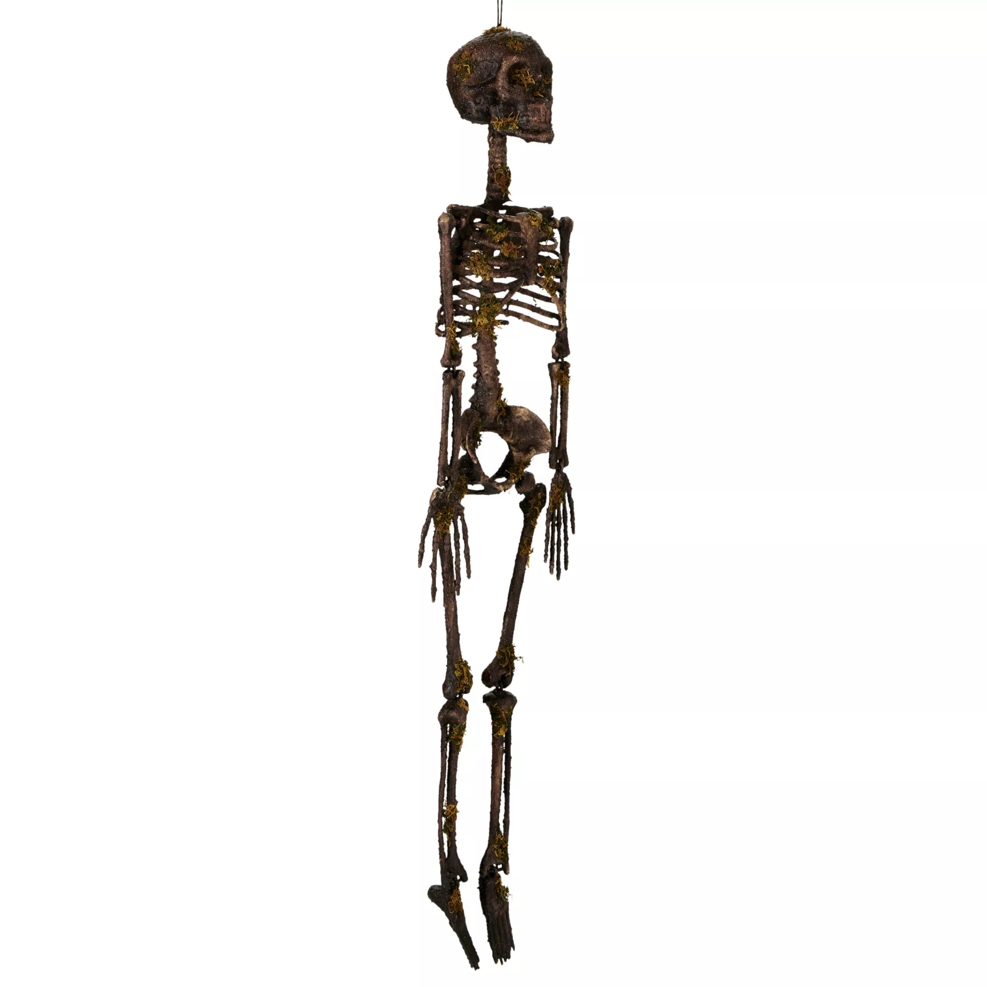 Moss Skeleton