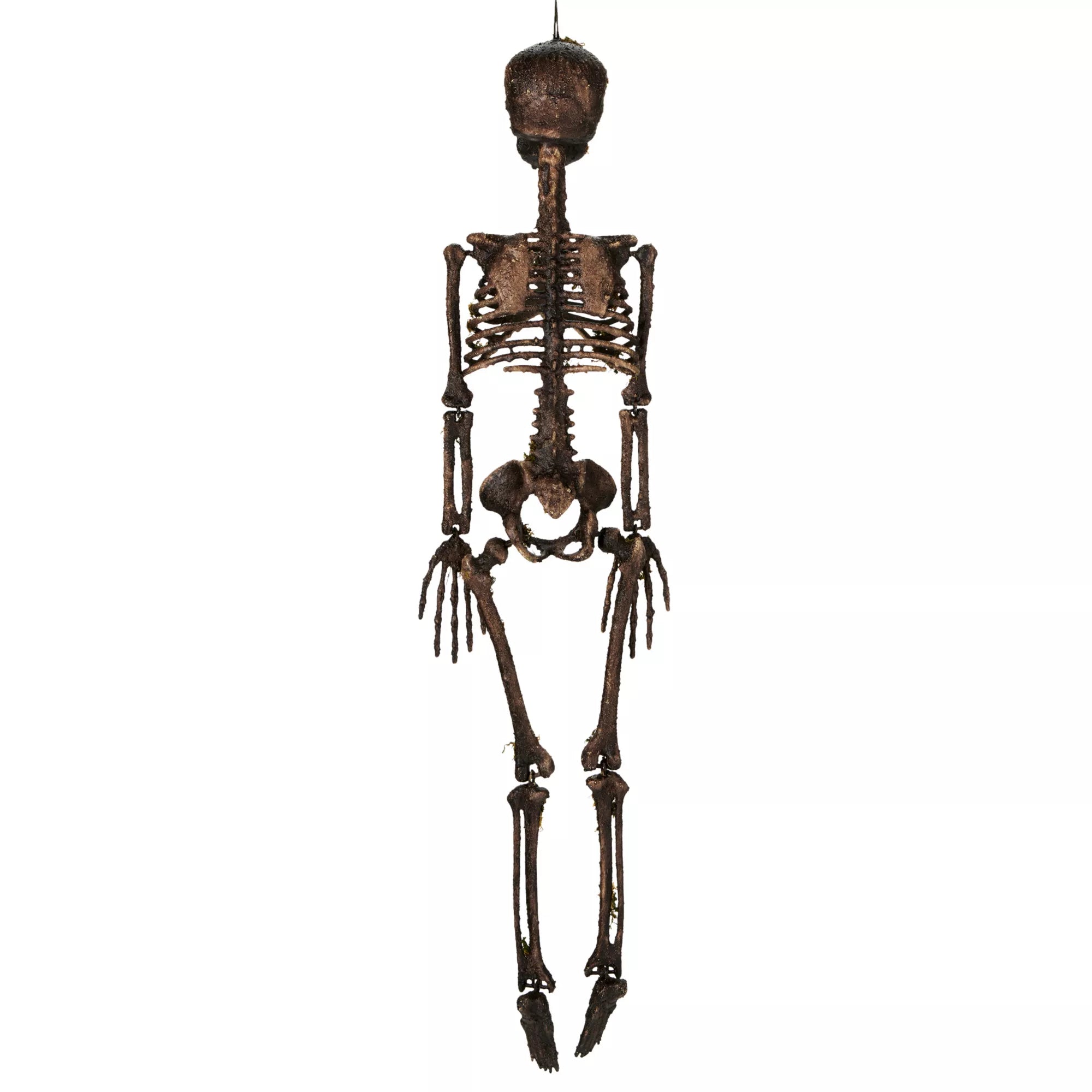 Moss Skeleton