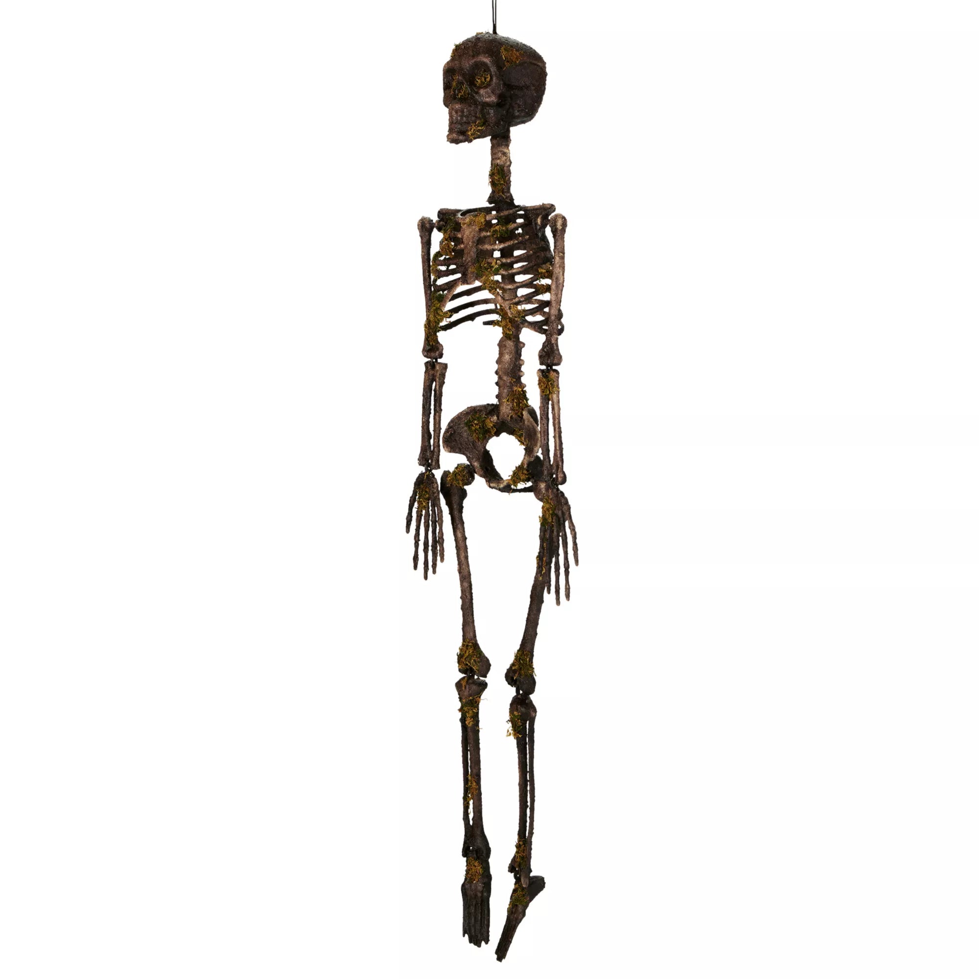 Moss Skeleton