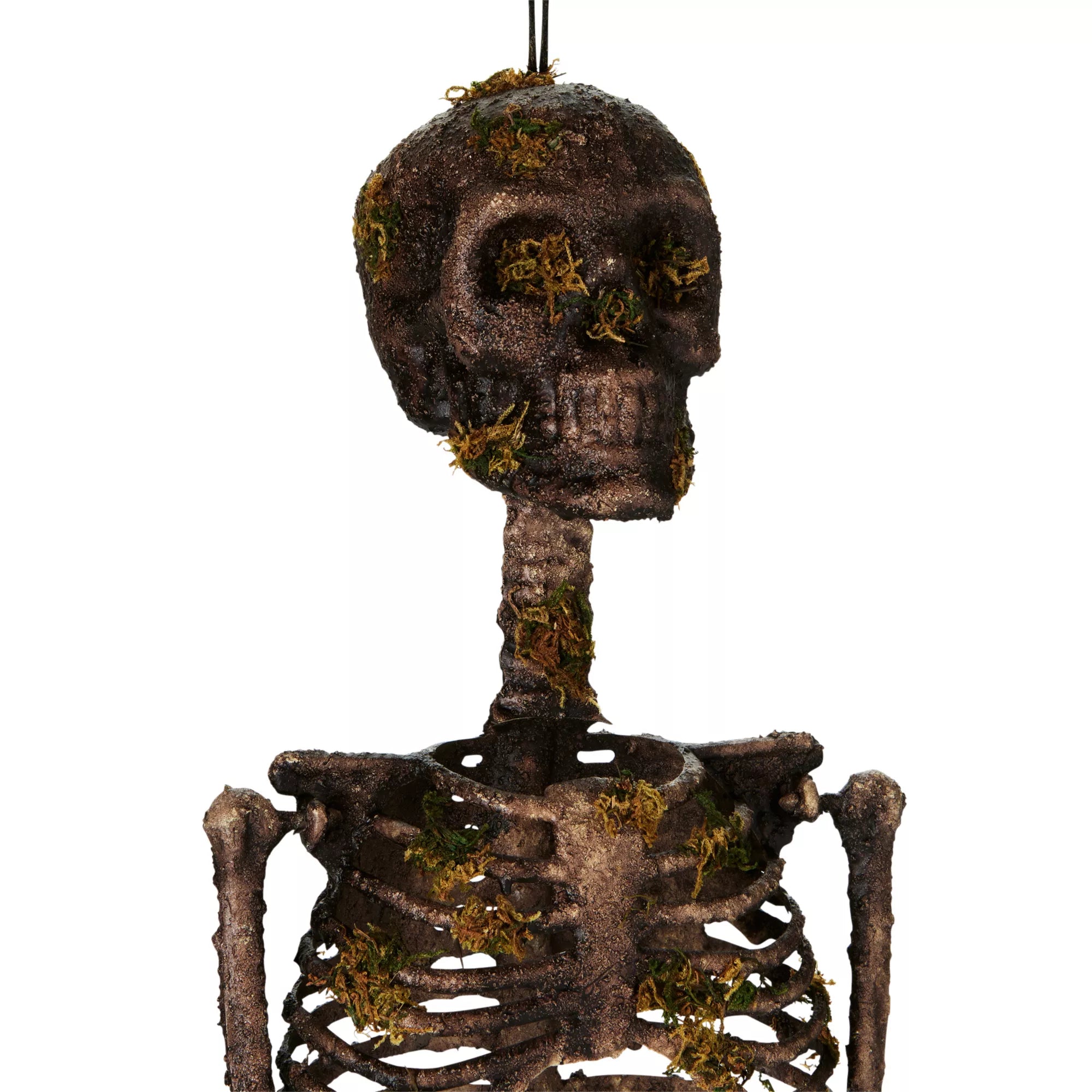 Moss Skeleton