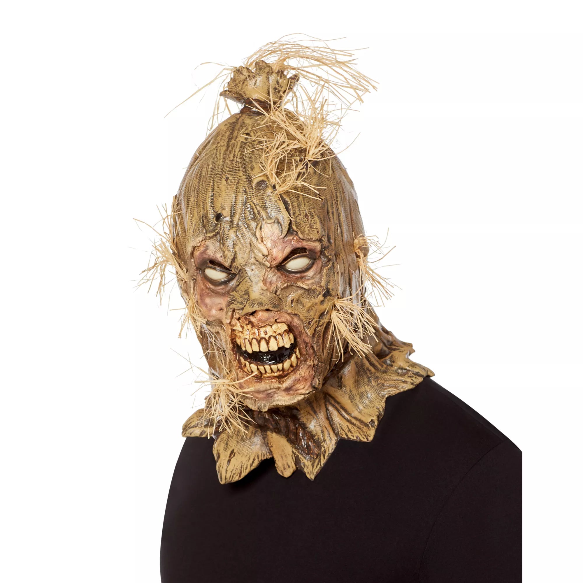 Wicked Scarecrow Full Mask