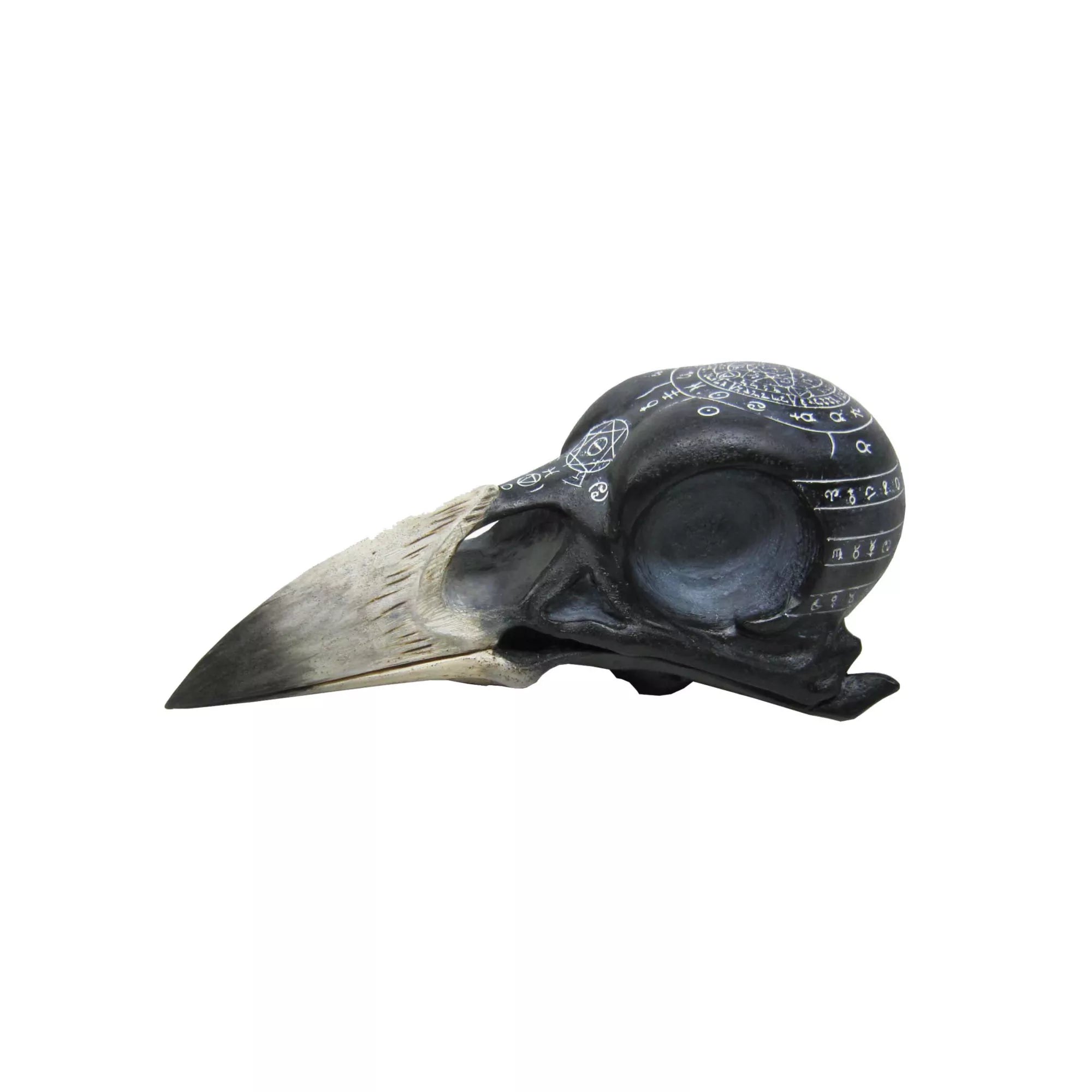 Mystical Arts Crow Skull