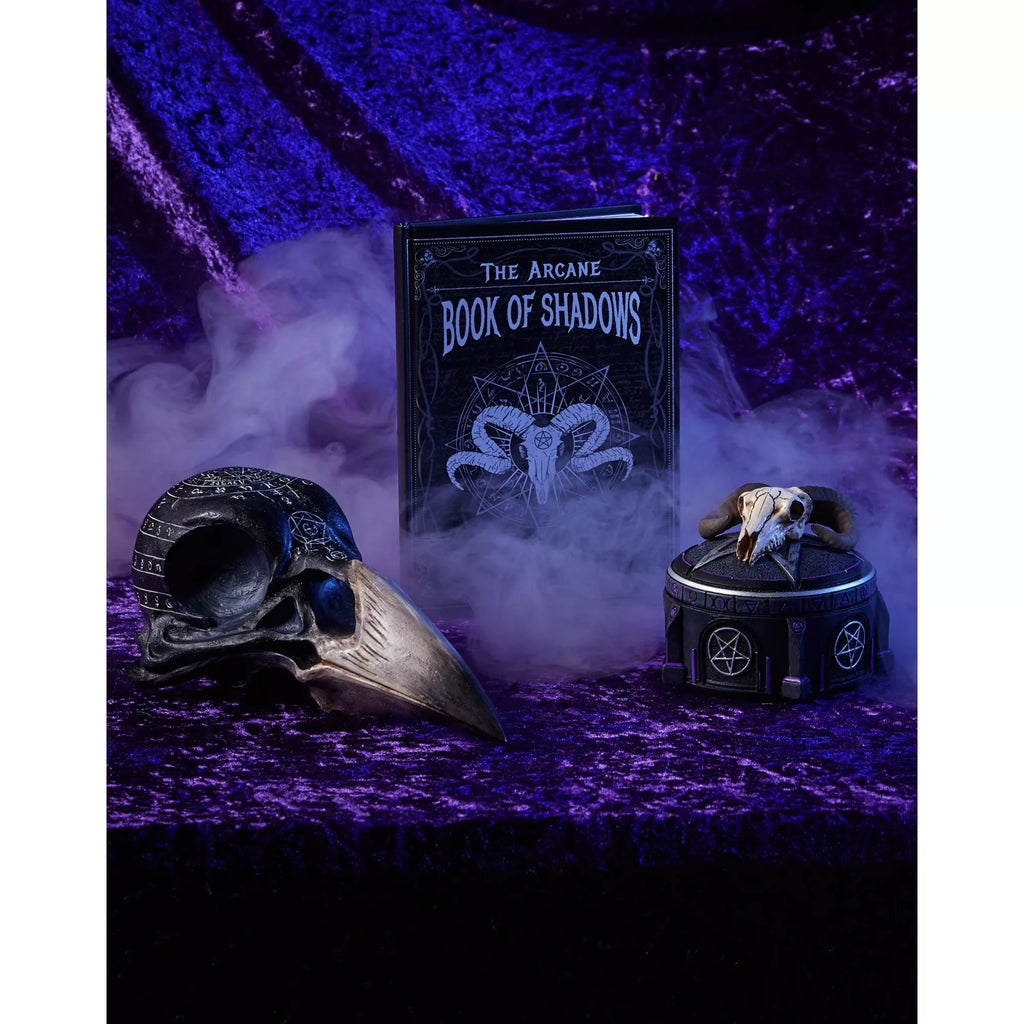 Mystical Arts Crow Skull