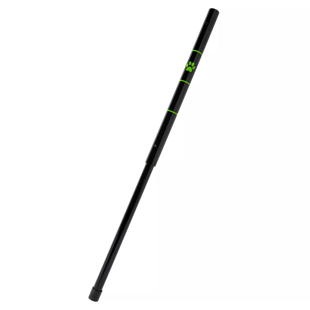 Cat Noir Staff - Miraculous Ladybug