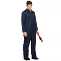 Adult Blue Plus Size Jumpsuit