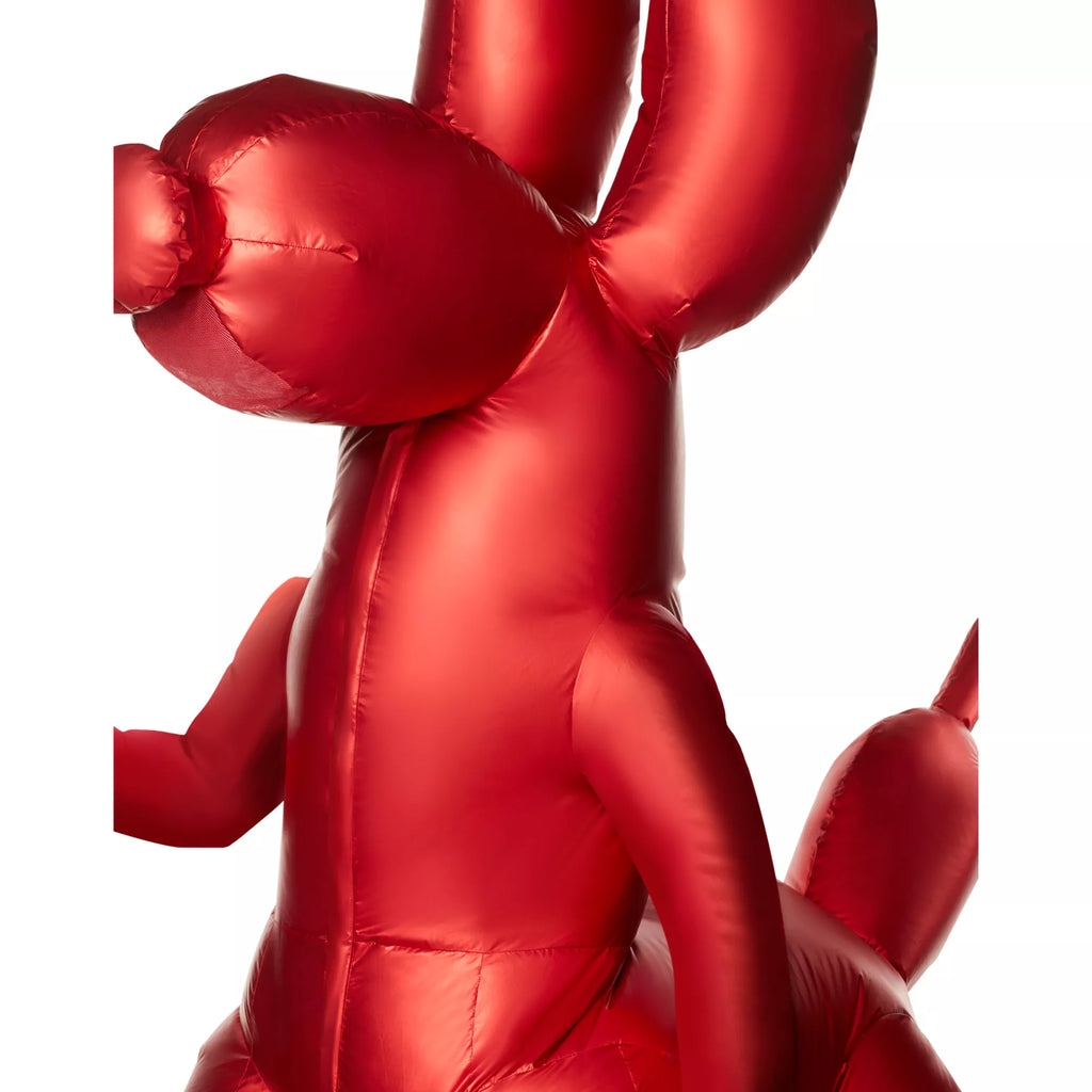 Kids Balloon Animal Inflatable Costume