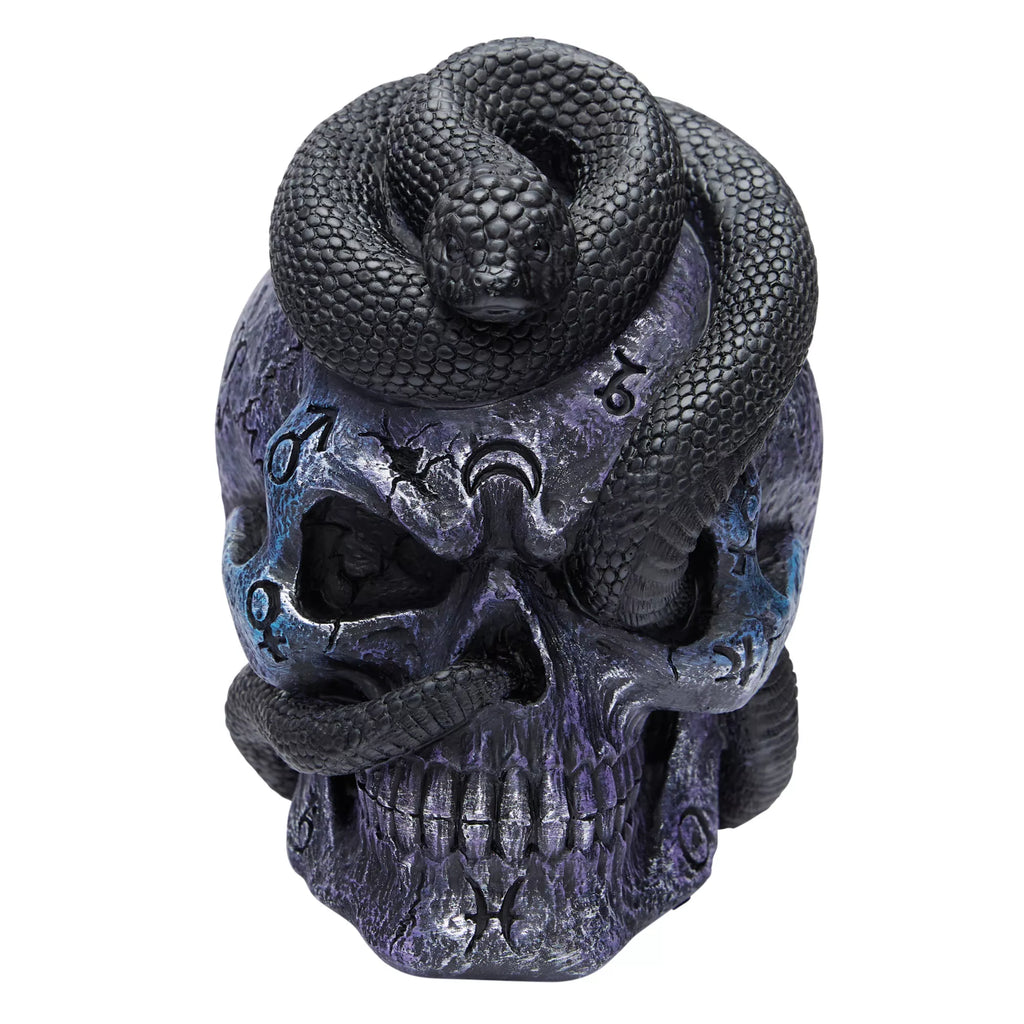 Mystical Arts Snake Skull