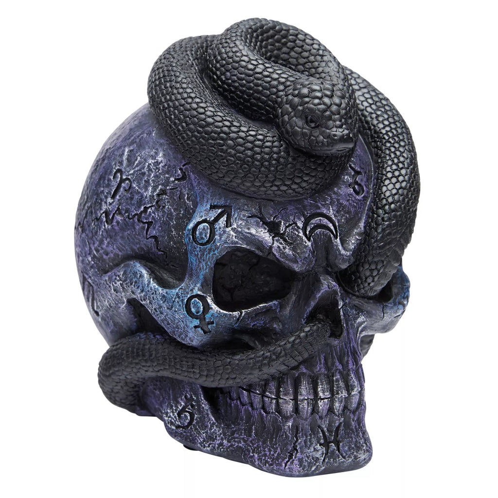 Mystical Arts Snake Skull