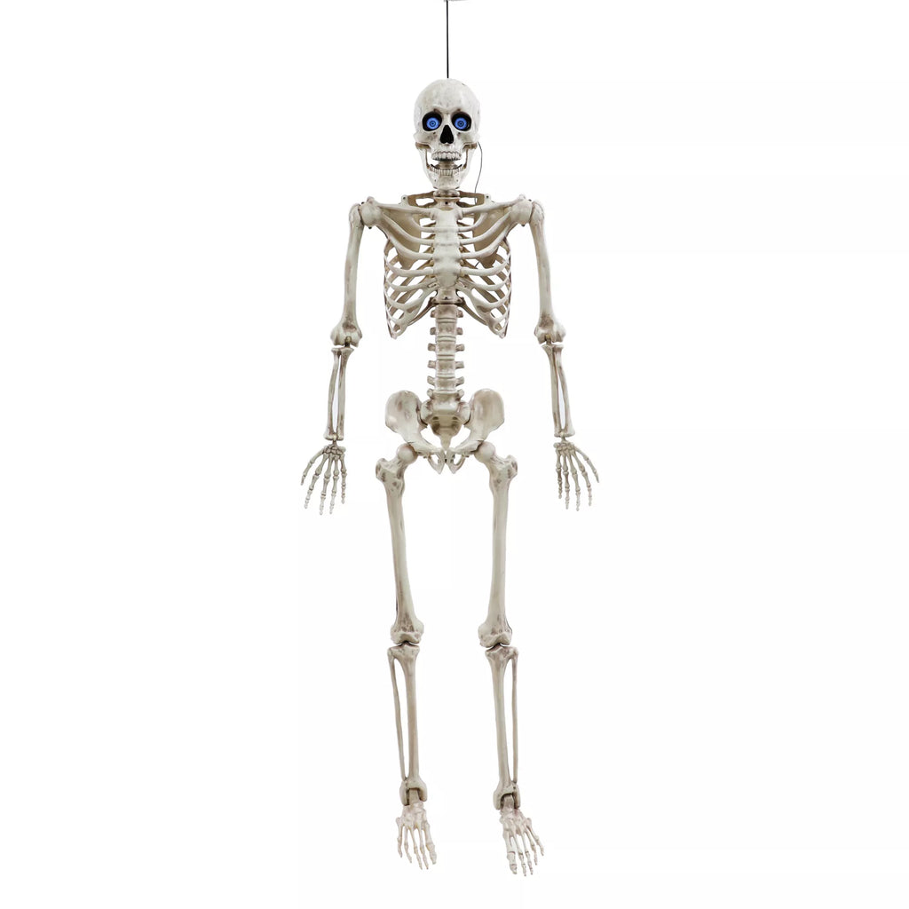 5 Ft Poseable Digieye Skeleton