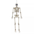 5 Ft Poseable Digieye Skeleton