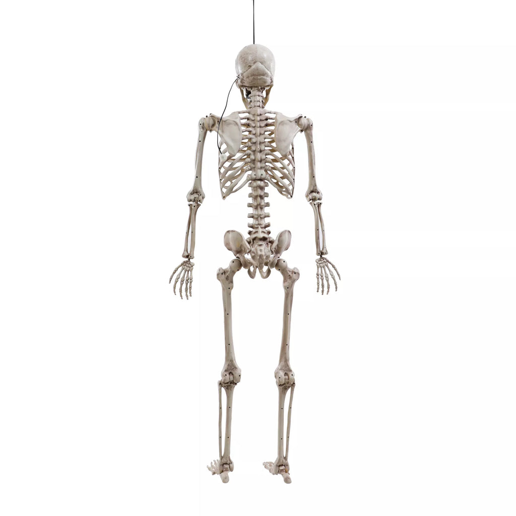 5 Ft Poseable Digieye Skeleton