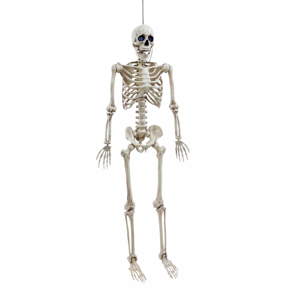 5 Ft Poseable Digieye Skeleton