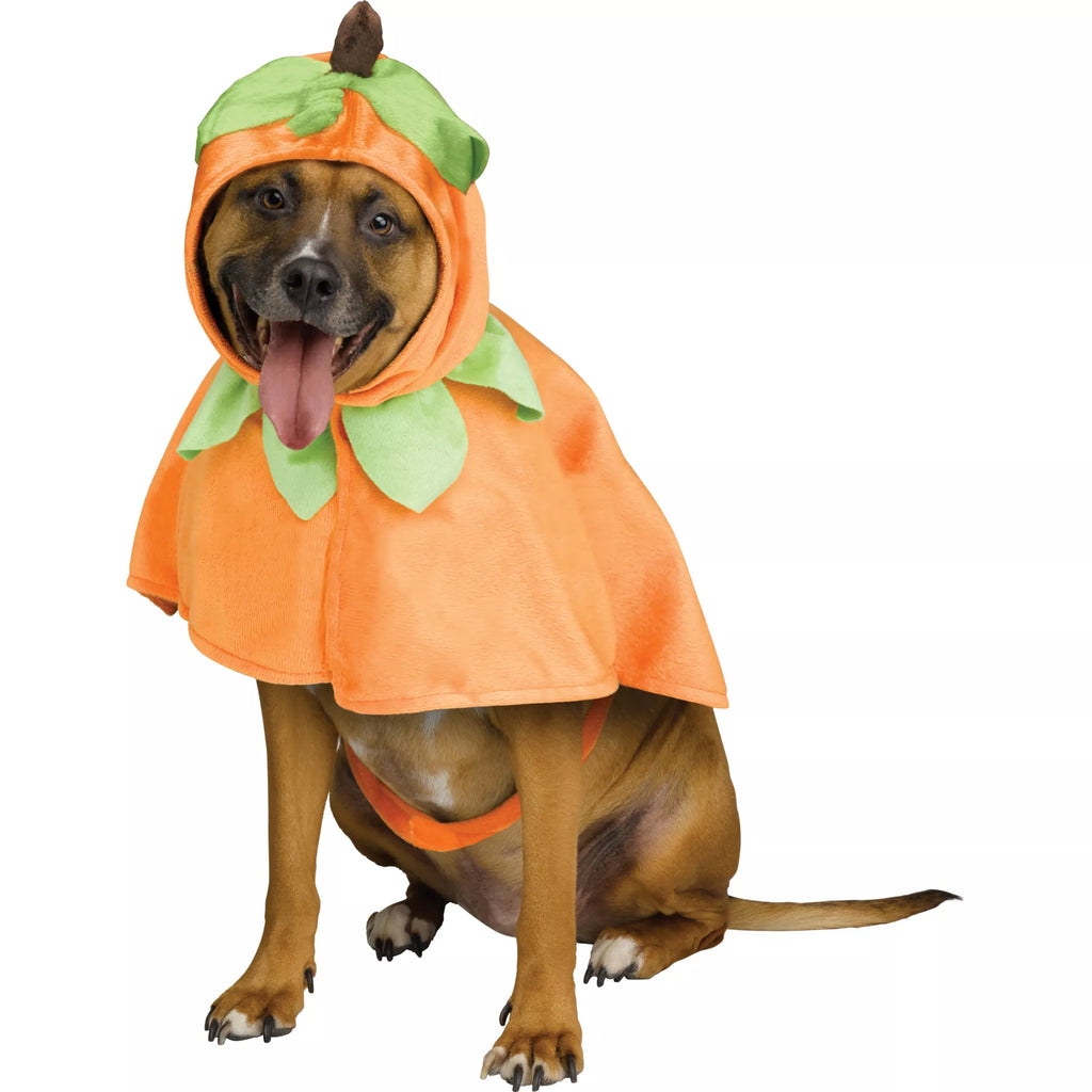 Pumpkin Pet Costume